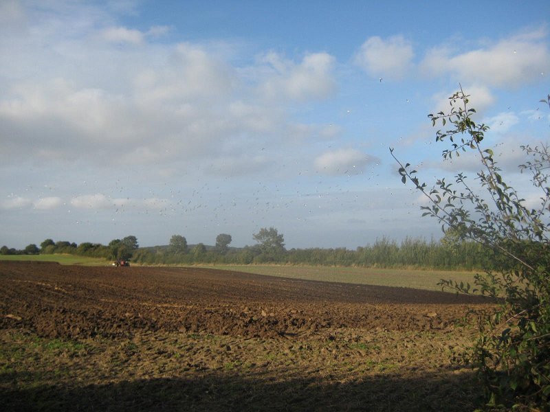 CTF-Aschberg 021